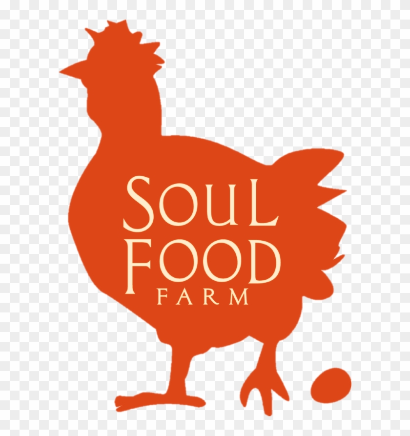Alexis Koefoed, Grazing For Change Speaker, Holistic - Soul Food Farm #1109712