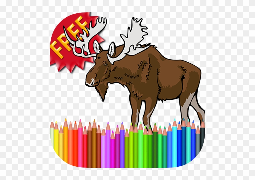 Coloring Book Forest Animals - Vector Graphics #1109788
