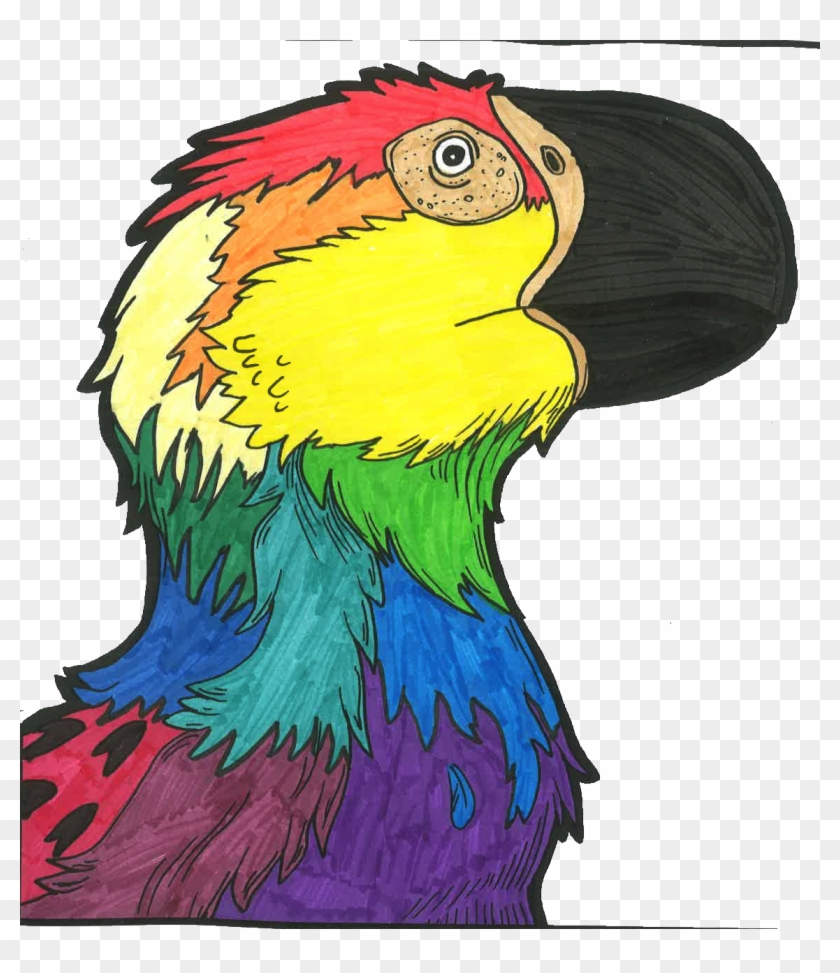 My Colorations Of @dianeramic 's Book, The Coloring - Macaw #1109793