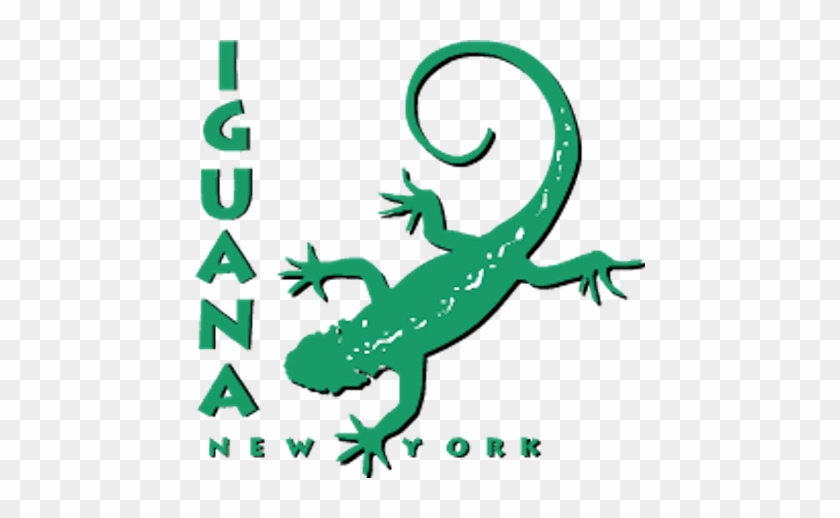 Dance With Me, Iguana / Iguana Hold Your Hand - Cafe Iguana New York #1109837