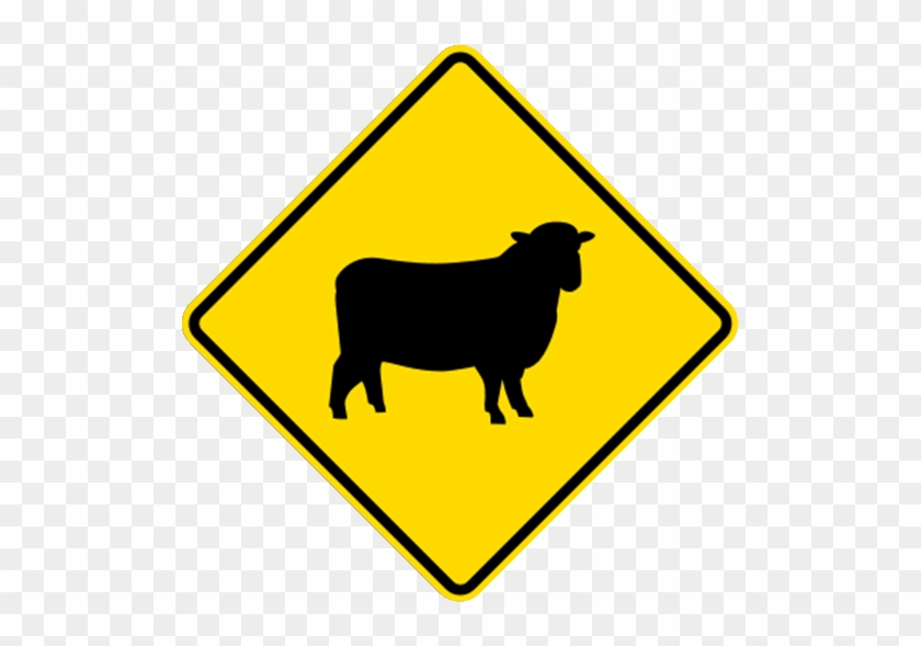 In Areas Where There Are Regularly Animals On The Road - Oamaru #1110001
