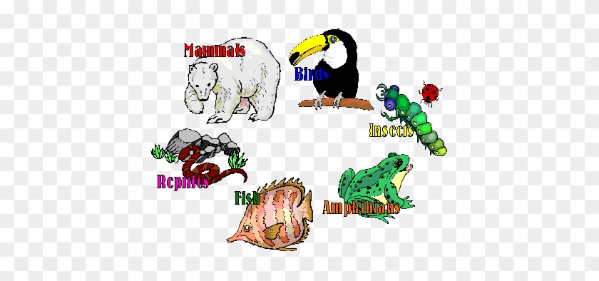 Clipart Of African Mammals Animals Cartoon Illustration - Animal Groups #1110204