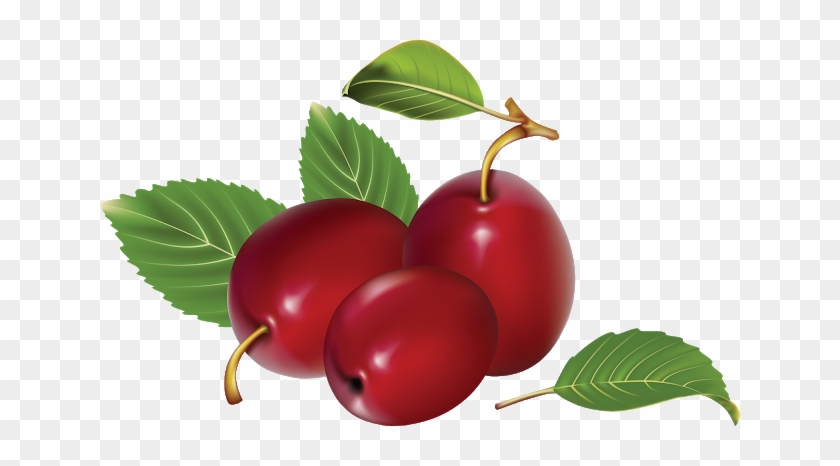 Plum Png - Red Plums Clipart #1110823