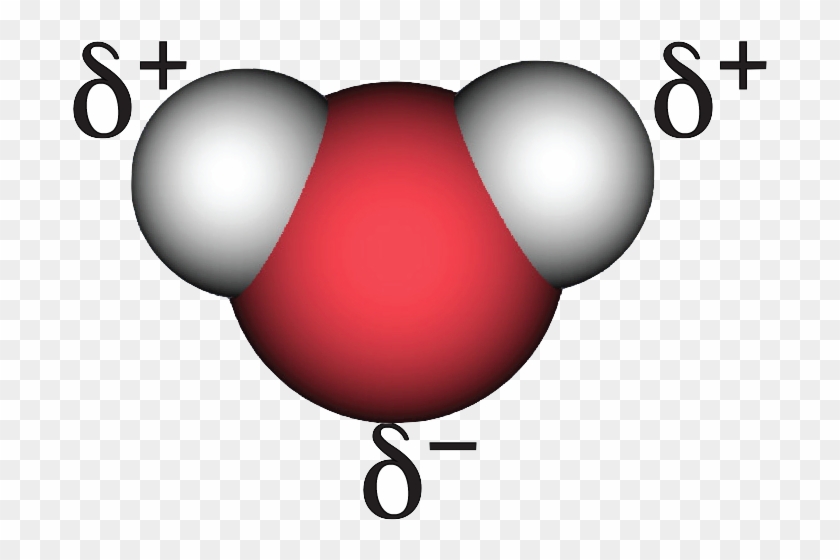 Water Polarity - H2o Estructura #1110838