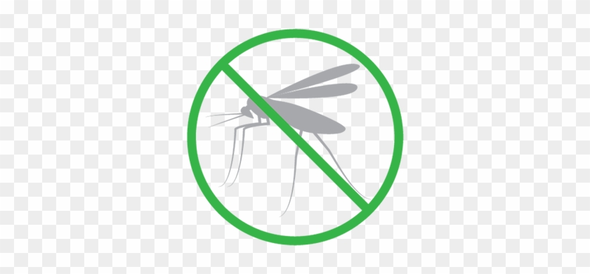 Pentatexanti Mosquito/insect Treatmentodorless Anti - Anti Mosquito Logo Png #1111242