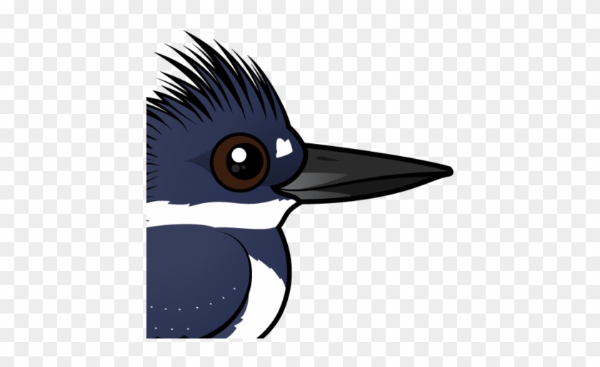 About The Belted Kingfisher - Belted Kingfisher #1111294