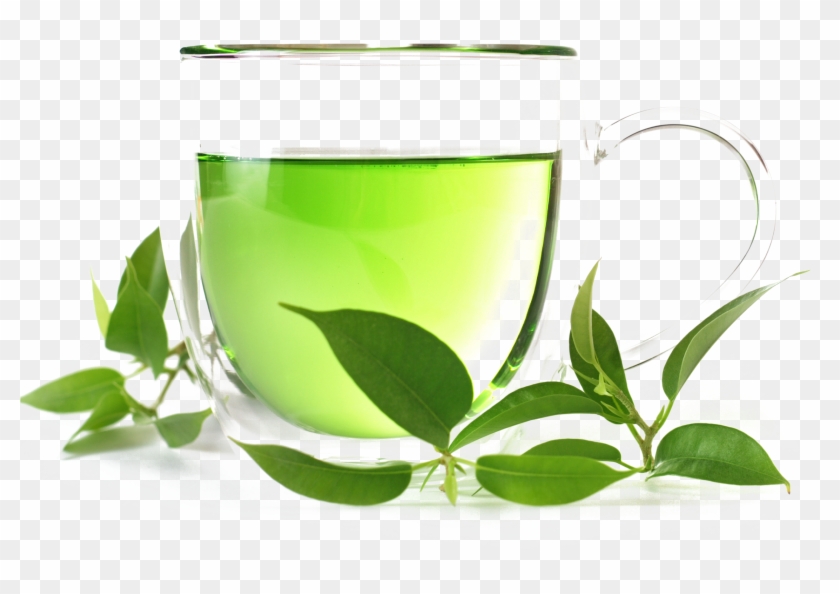 Green Tea Organic Food White Tea Oolong - Green Tea Organic Food White Tea Oolong #1112102