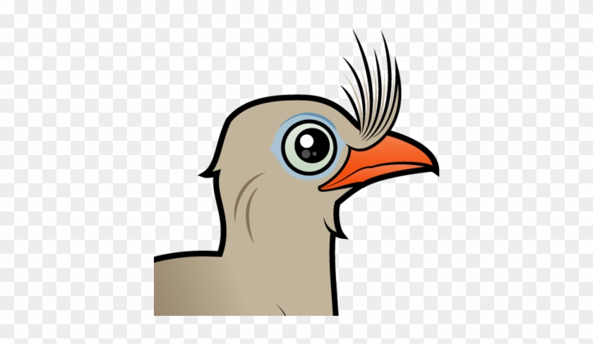 About The Red-legged Seriema - About The Red-legged Seriema #1112267