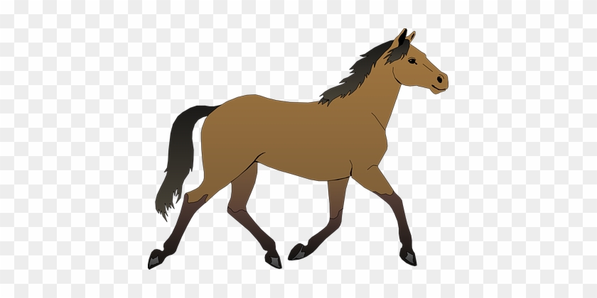 Horse Brown Stallion Purebred Mare Equine - Horse Clipart #1112728