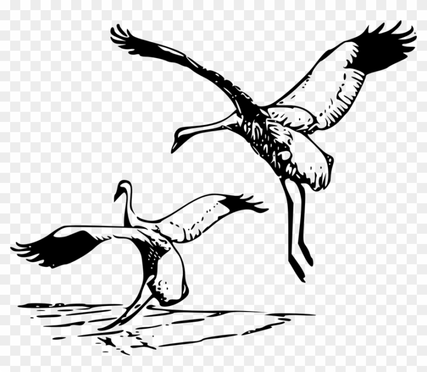 Image Result For Cranes Black And White - Crane Bird Clipart #1113011