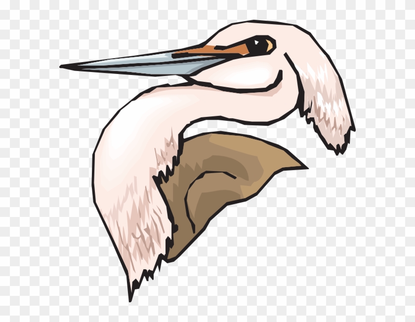 Heron Head Clipart #1113014