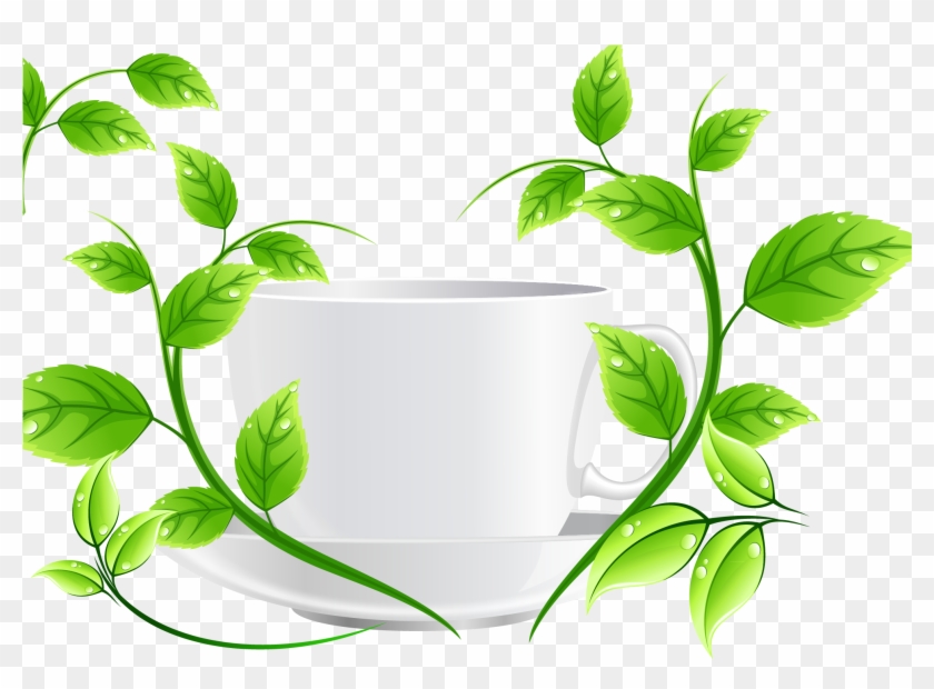 Green Tea Euclidean Vector - Vector Graphics #1113038