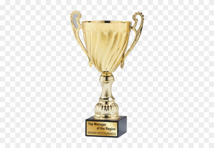 Gold Metal Cup Trophy - Award Cup #1113065