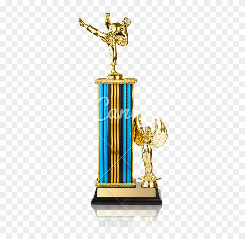 Gold Martial Arts Trophy - Trophy #1113067