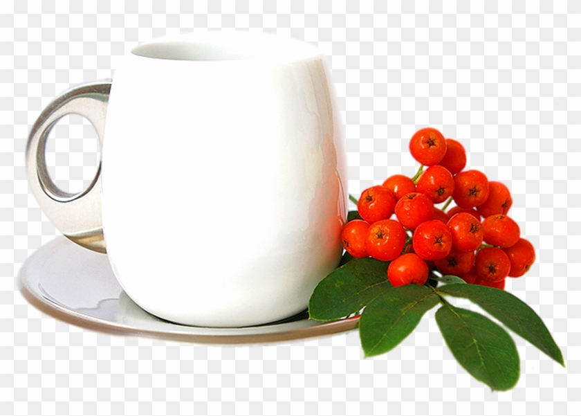 White Tea Cup - Portable Network Graphics #1113341