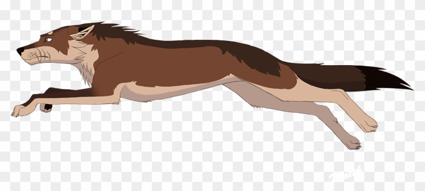 Gray Wolf #1113396