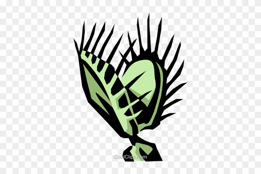 Plant - Venus Fly Trap Clipart #1113403