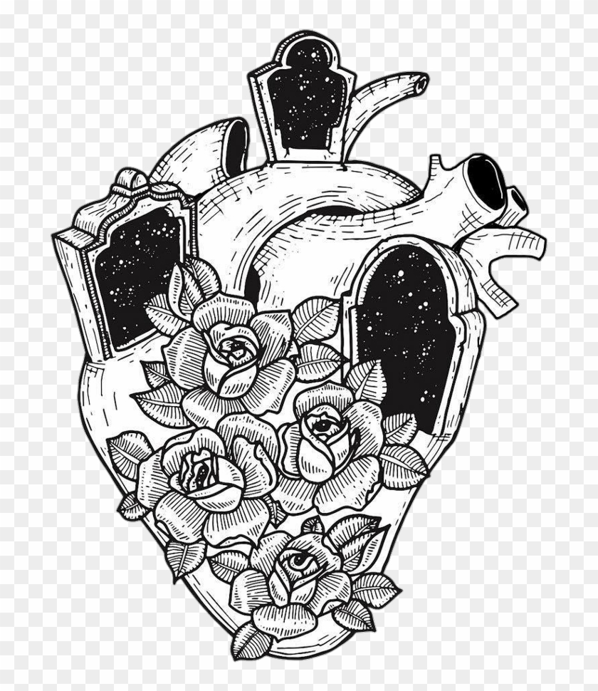 Blackandwhite Heart Hearts Flower Flowers Rose Roses - Hashtag #1113653