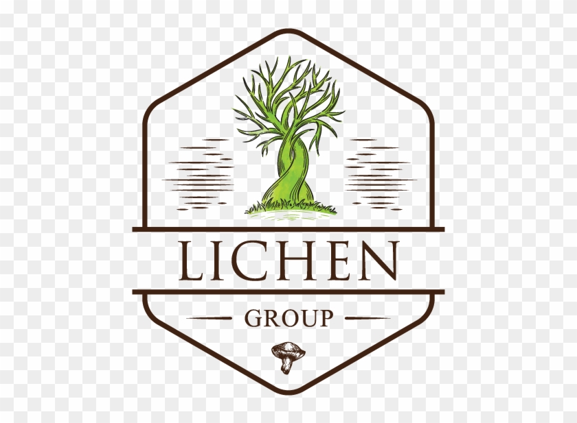 The Definition Or Meaning Of Lichen - The Definition Or Meaning Of Lichen #1114186