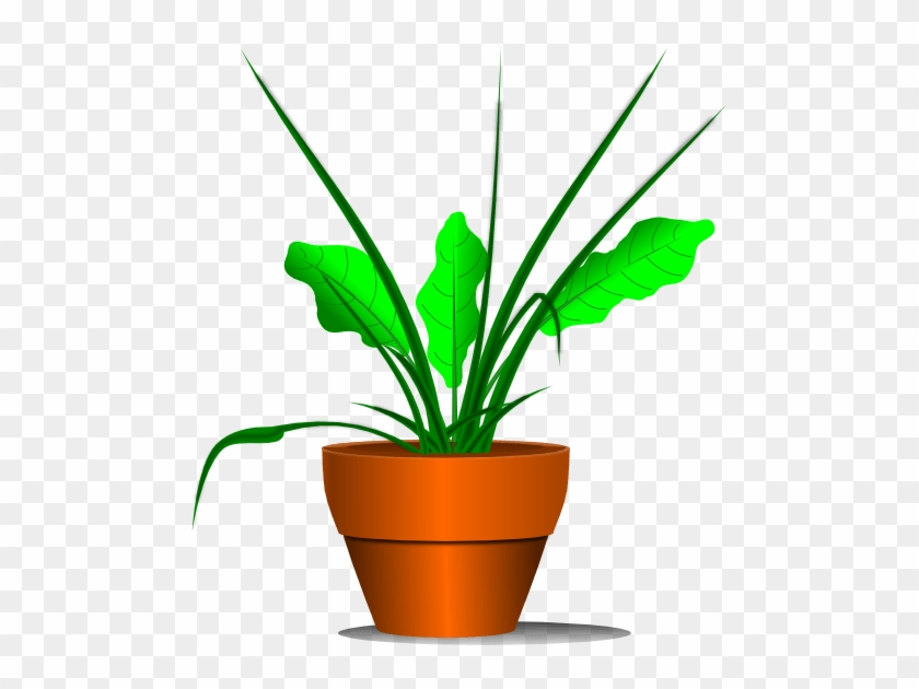 Potted Plant Clipart Black And White - Plant Clipart With Transparent Background #1114320