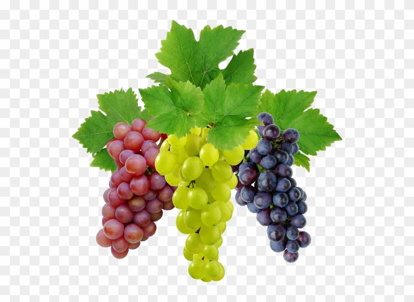 Grapes Pics, Food Collection - Green Grapes Vs Black Grapes #1114675