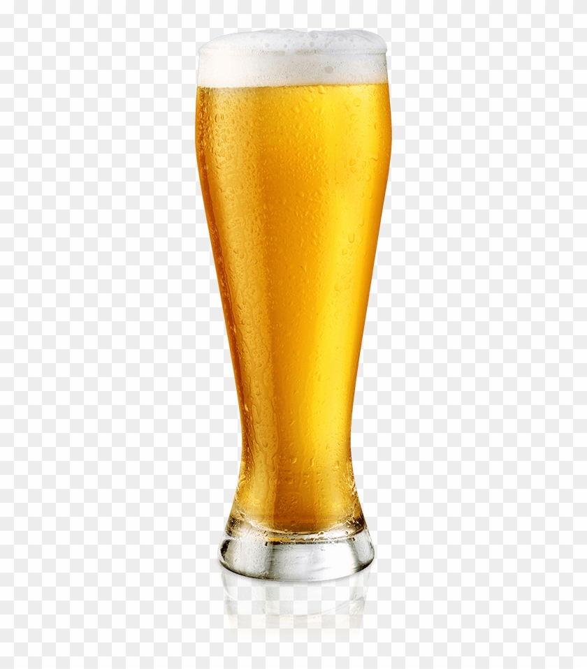 Standard Drinks - Circleware Long Beach Pilsner Weizen Beer Glasses, #1114701