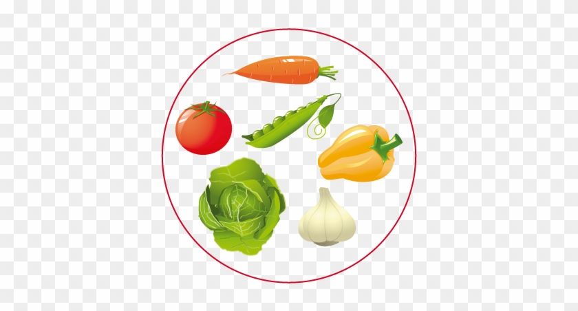 Conjunto-verduras - - Plum Tomato - Free Transparent PNG Clipart Images  Download