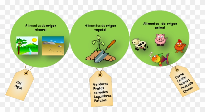 Alimentos De Origen Animal Vegetal Y Mineral Imagui - Origen De Los Alimentos Animal Vegetal Y Mineral #1114796