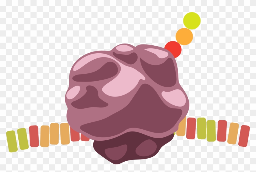 The World Of The Cell - The World Of The Cell #1115129