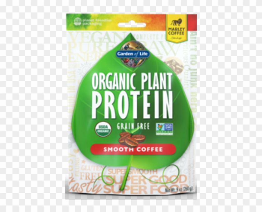 Garden Of Life Organic Plant Protein Smooth Coffee - Garden Of Life Organic Plant Protein Smooth Coffee #1115144
