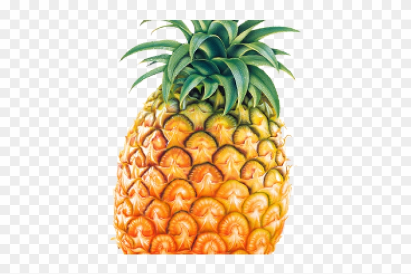 Pineapple Png Transparent Images - Individual Picture Of Fruits And Vegetables #1115374