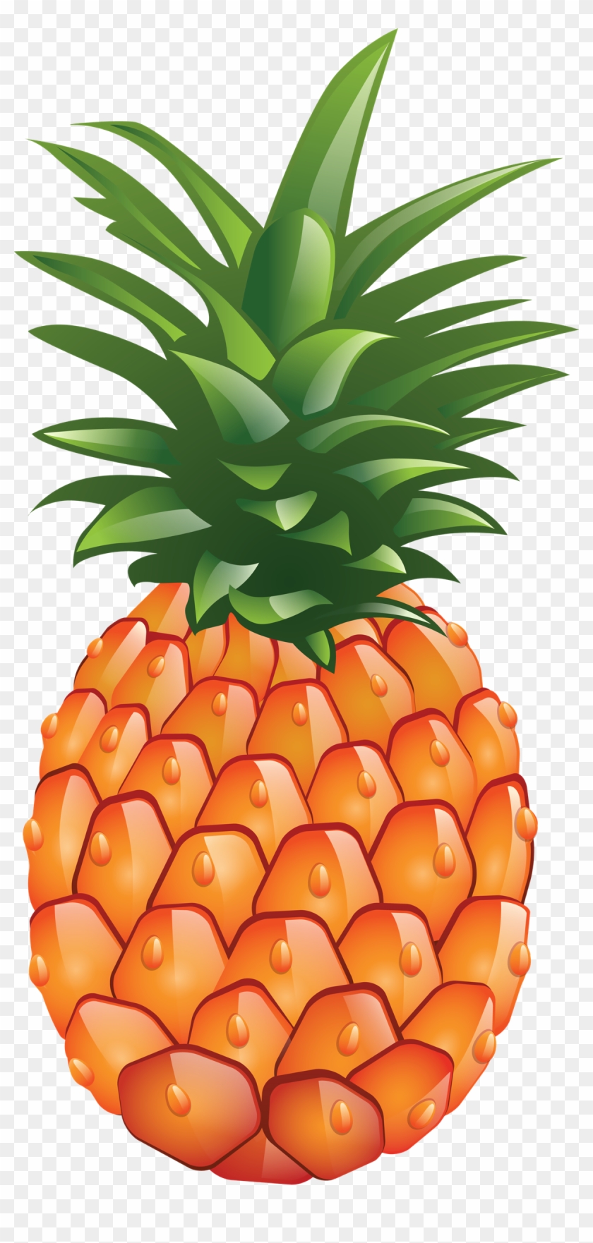 Pineapple Png Free Download - Portable Network Graphics #1115380