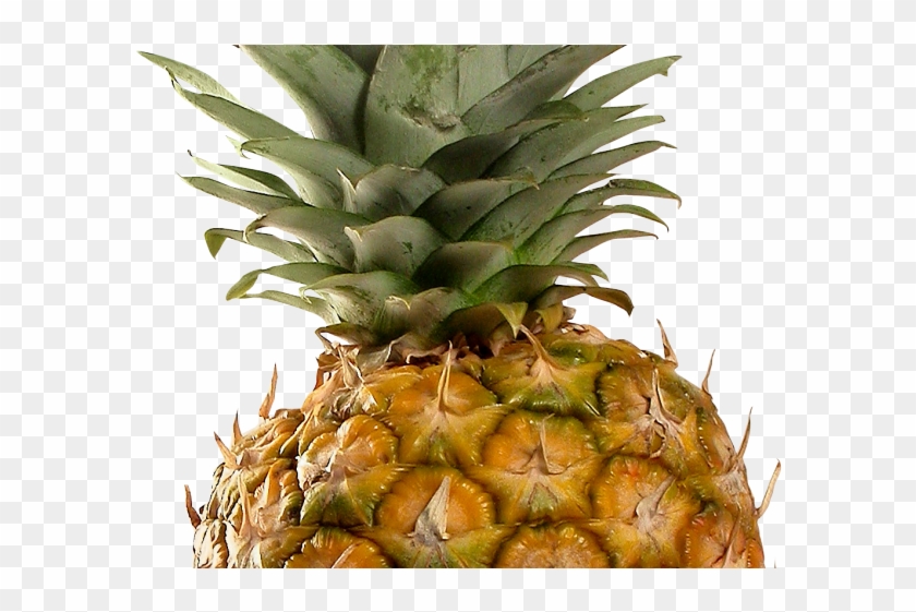 Pineapple Png Transparent Images - Pineapple Transparent #1115389