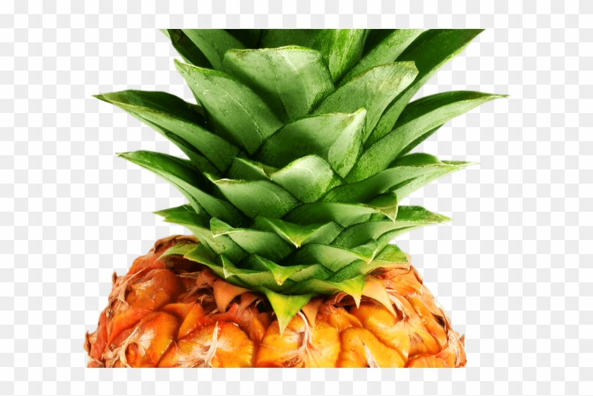Pineapple Png Transparent Images - Pineapple Canvas #1115391