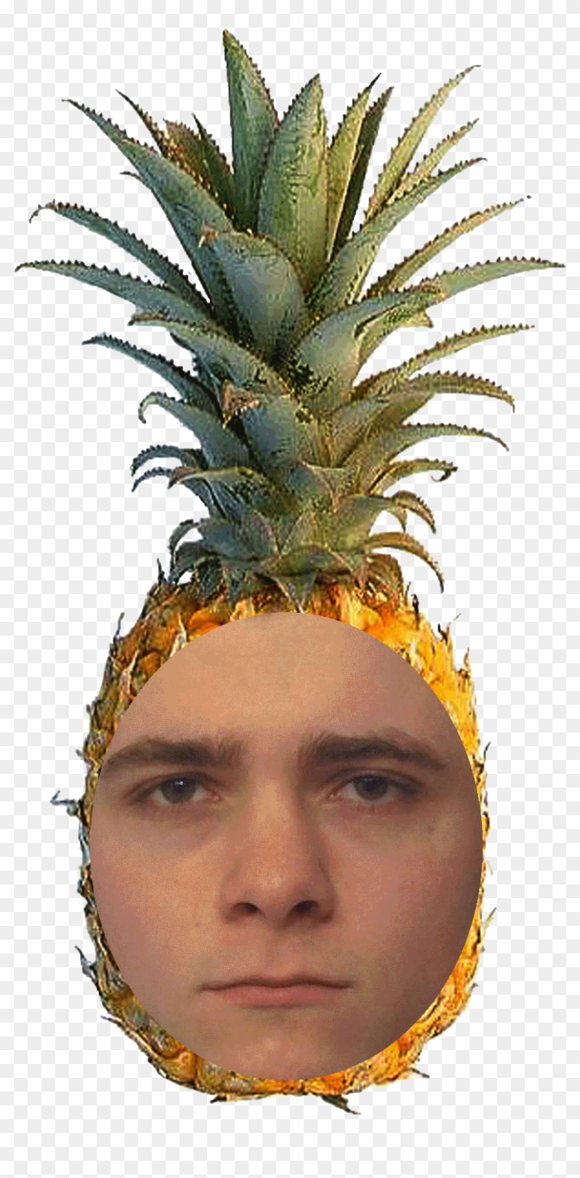 9304141 - Yellow Pineapple #1115406