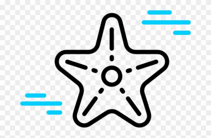An Illustration Of A Starfish - Icon #1115555