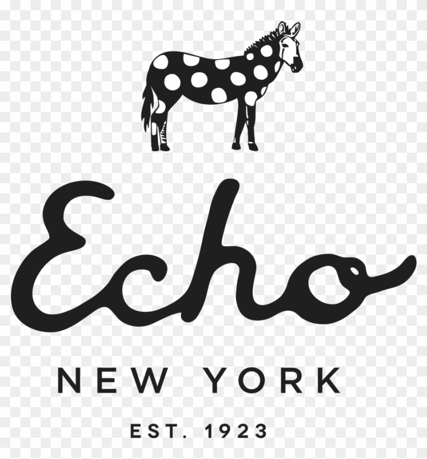 Echo Designs - John Mork Resume #1115567