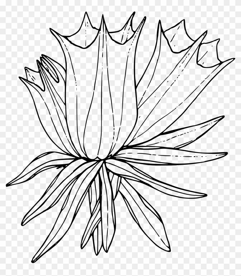 Clipart - Plants To Color #1115884