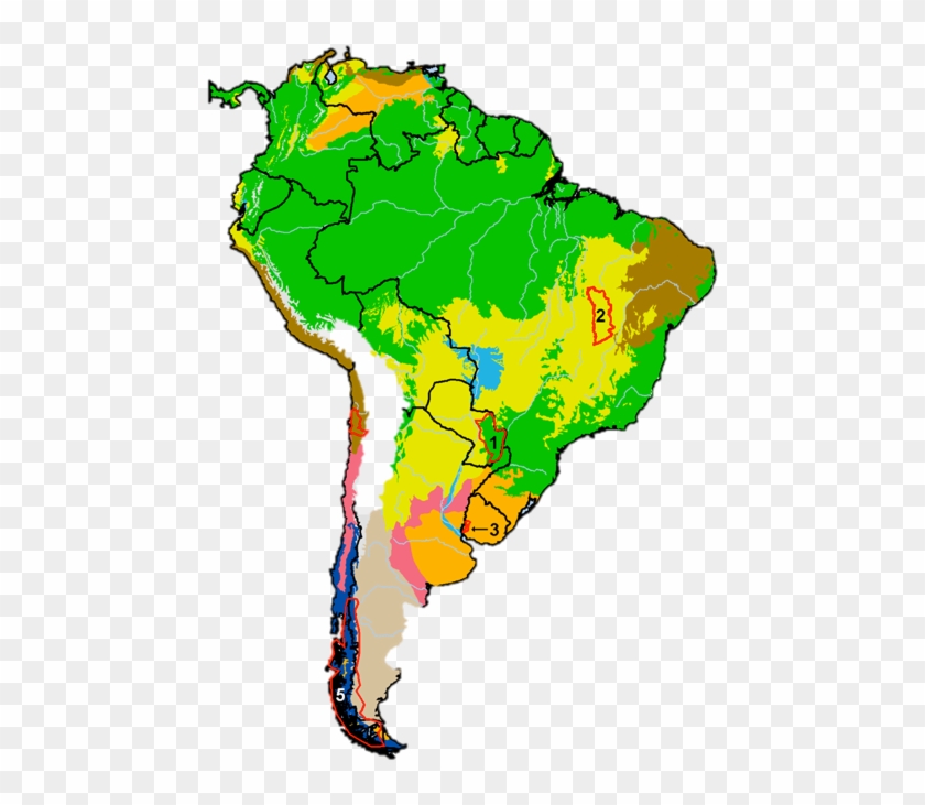 Argentina Distribution Orange = Grasslands - South America Climate Map #1115954