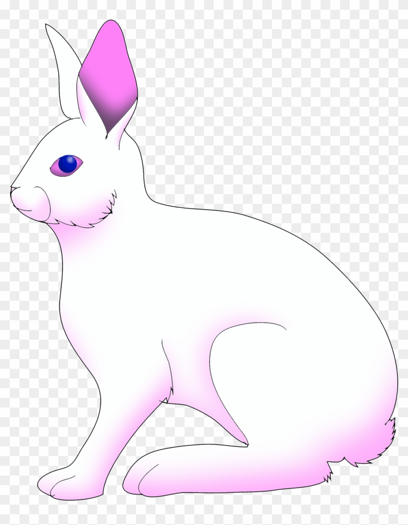 Albino Bunny By Molingirl - Domestic Rabbit #1116183