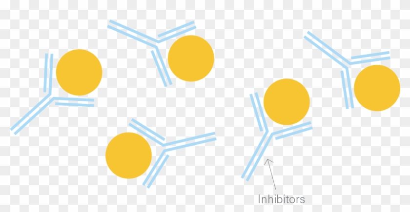 For Some People With Hemophilia, These Antibodies View - Circle #1116806