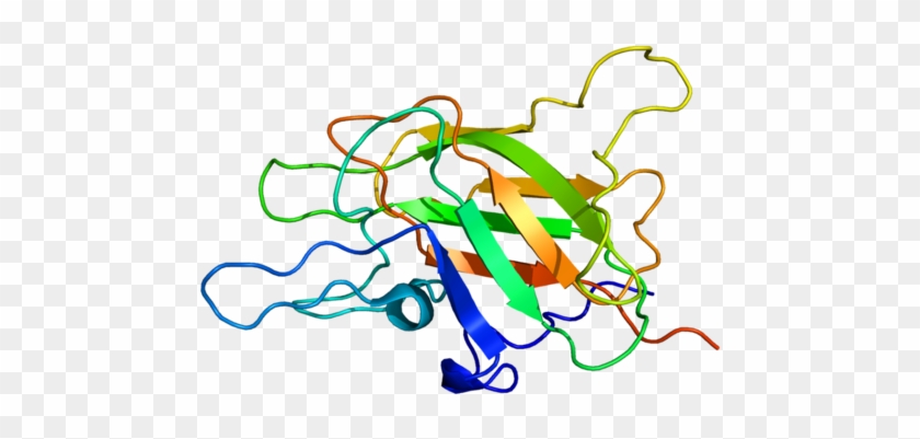 Available Structures - Coagulation Factor 8 Protein #1116843