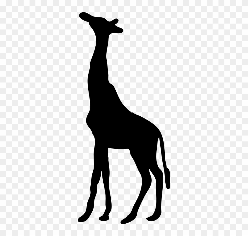 Free Image On Pixabay - Giraffe Silhouette Png #1117343