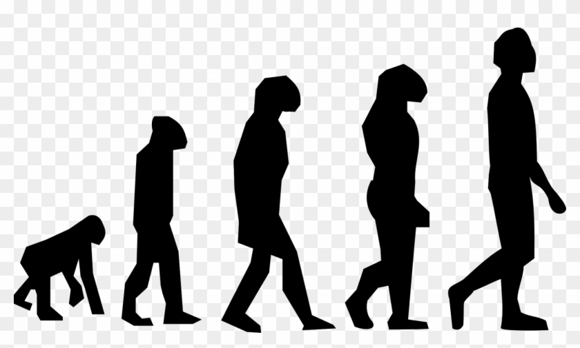 Cc0 Public Domain - Human Evolution Clipart #1118149