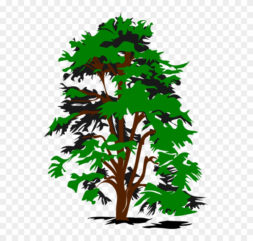 Forest Cliparts 9, Buy Clip Art - Trees Clip Art #1118215