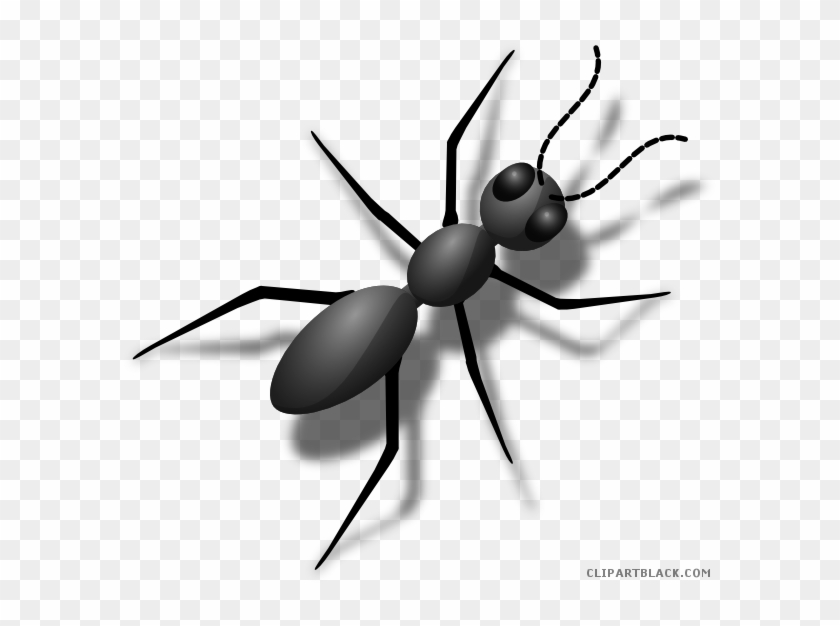 Ant Animal Free Black White Clipart Images Clipartblack - Custom Fire Ant Journal #1119422