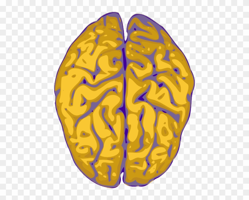 How To Set Use Nm Brain Svg Vector - Prosopagnosia Affects What Part Of The Brain #1119674