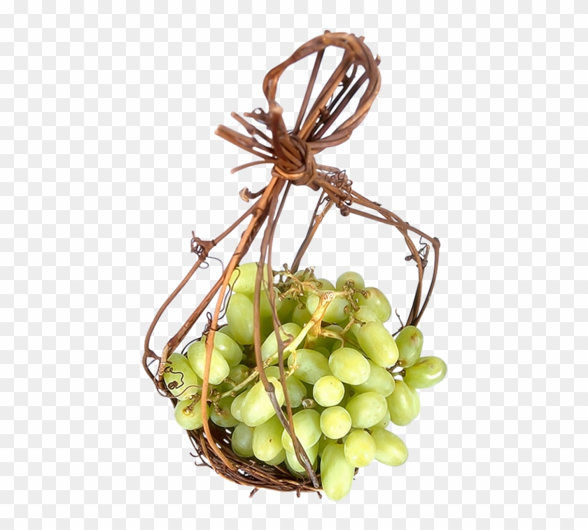 Wine Fruit Grape Clip Art - Sultana #1119738