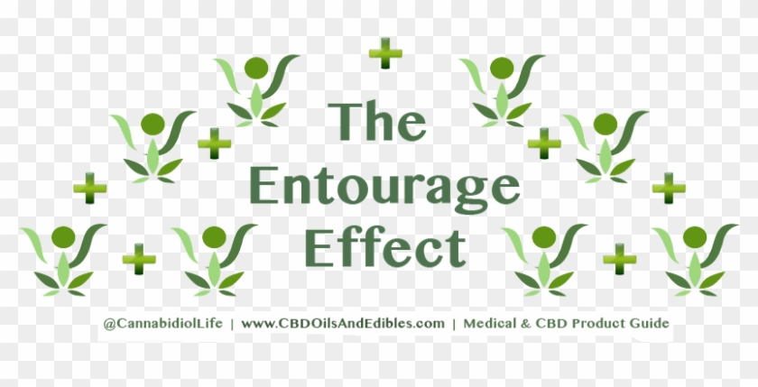 Entourage Effect #1119755
