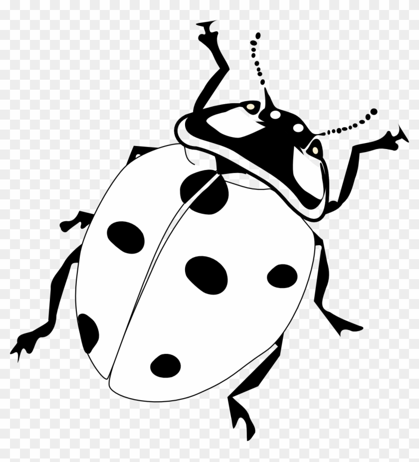 Adult Black And White Drawings Of Bugs Clipart Best - Ladybird Black And White #1119900